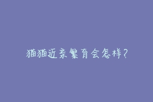 猫猫近亲繁育会怎样?