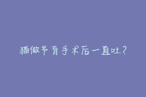 猫做节育手术后一直吐？