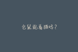 仓鼠能看猫吗？