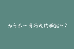 为什么一有好吃的猫就叫?
