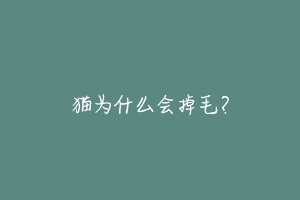 猫为什么会掉毛?