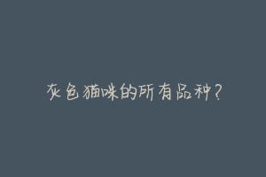 灰色猫咪的所有品种?