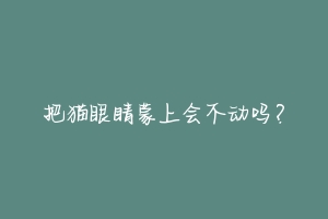 把猫眼睛蒙上会不动吗?