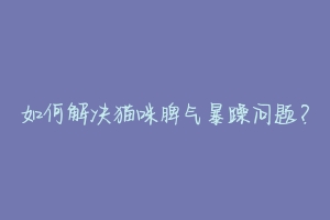 如何解决猫咪脾气暴躁问题?