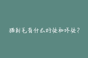 猫剃毛有什么好处和坏处?
