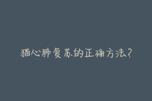猫心肺复苏的正确方法?