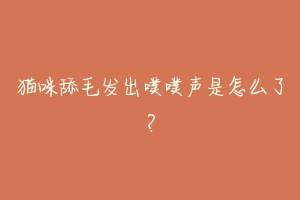 猫咪舔毛发出噗噗声是怎么了?