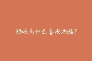 猫咪为什么喜欢地漏?