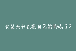 仓鼠为什么把自己的脚吃了?