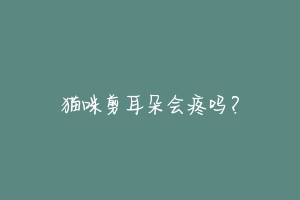 猫咪剪耳朵会疼吗?