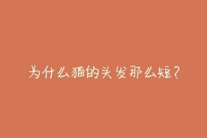 为什么猫的头发那么短?