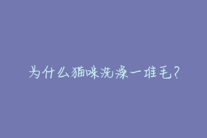 为什么猫咪洗澡一堆毛?