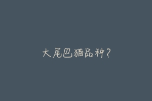 大尾巴猫品种?