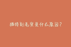 猫特别老实是什么原因？