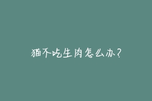 猫不吃生肉怎么办?