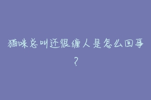 猫咪总叫还很缠人是怎么回事?