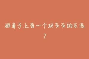 猫鼻子上有一个块灰灰的东西?