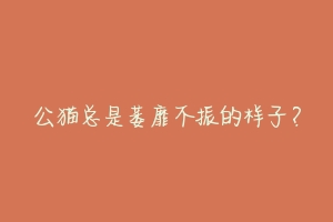 公猫总是萎靡不振的样子?