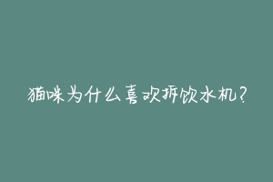 猫咪为什么喜欢拆饮水机?