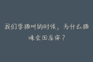 我们学猫叫的时候,为什么猫咪会回应你?