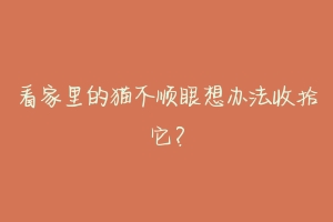 看家里的猫不顺眼想办法收拾它?