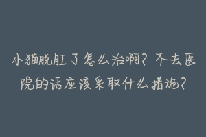 小猫脱肛了怎么治啊?不去医院的话应该采取什么措施?