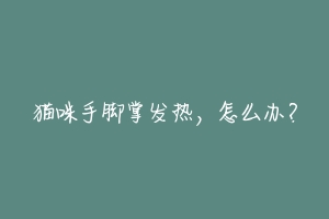 猫咪手脚掌发热,怎么办?