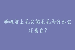 猫咪身上毛尖的毛毛为什么会泛着白?