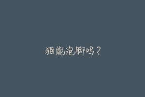 猫能泡脚吗?