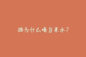 猫为什么喝自来水?