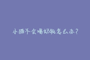 小猫不会喝奶瓶怎么办?