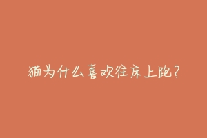猫为什么喜欢往床上跑？