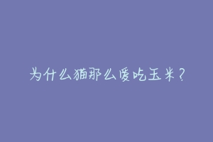 为什么猫那么爱吃玉米?