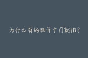 为什么有的猫开个门就怕？