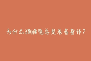 为什么猫睡觉总是卷着身体？