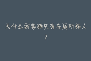 为什么我家猫只有在厕所粘人？