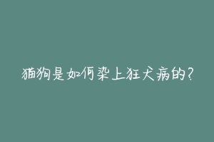 猫狗是如何染上狂犬病的?