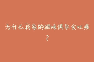 为什么我家的猫咪偶尔会吐痰?