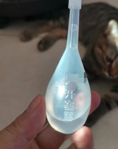猫便秘怎么解决?