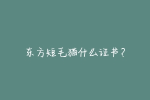 东方短毛猫什么证书?