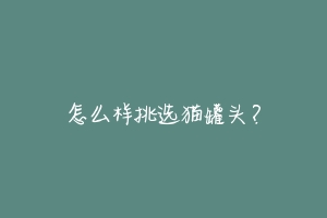 怎么样挑选猫罐头?