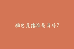 猫总是蹭脸是痒吗?