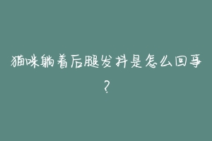 猫咪躺着后腿发抖是怎么回事?