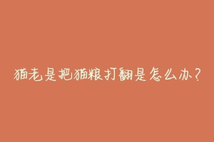 猫老是把猫粮打翻是怎么办?