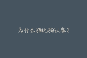 为什么猫比狗认家?