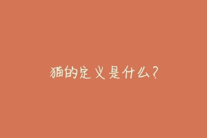 猫的定义是什么?