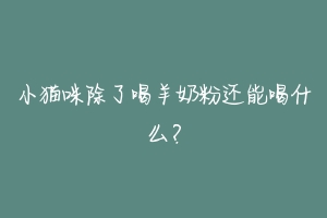 小猫咪除了喝羊奶粉还能喝什么?