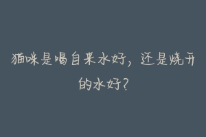 猫咪是喝自来水好,还是烧开的水好?