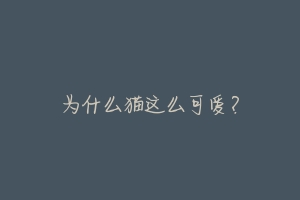 为什么猫这么可爱?