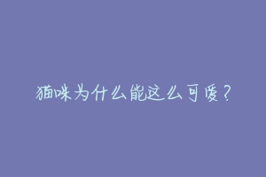 猫咪为什么能这么可爱？